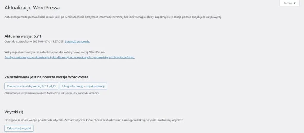 aktualizacje stron na wordpress