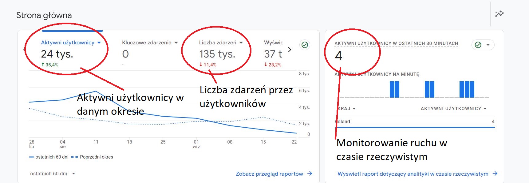 analiza ruchu na stronie