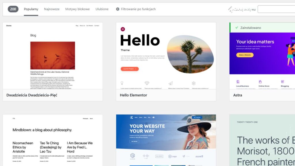 motywy w panel admin